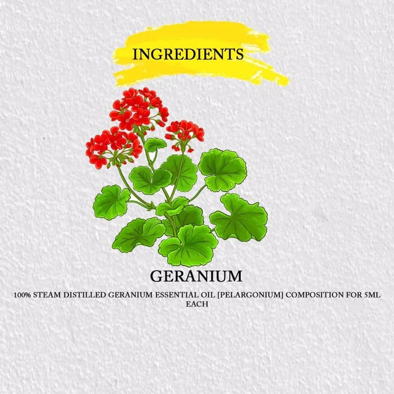 Geranium Essential Oil Pure Steam Distilled