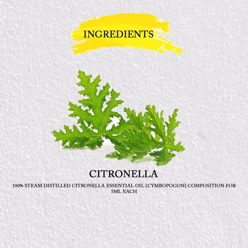 Citronella Essential Oil Pure Steam Distilled