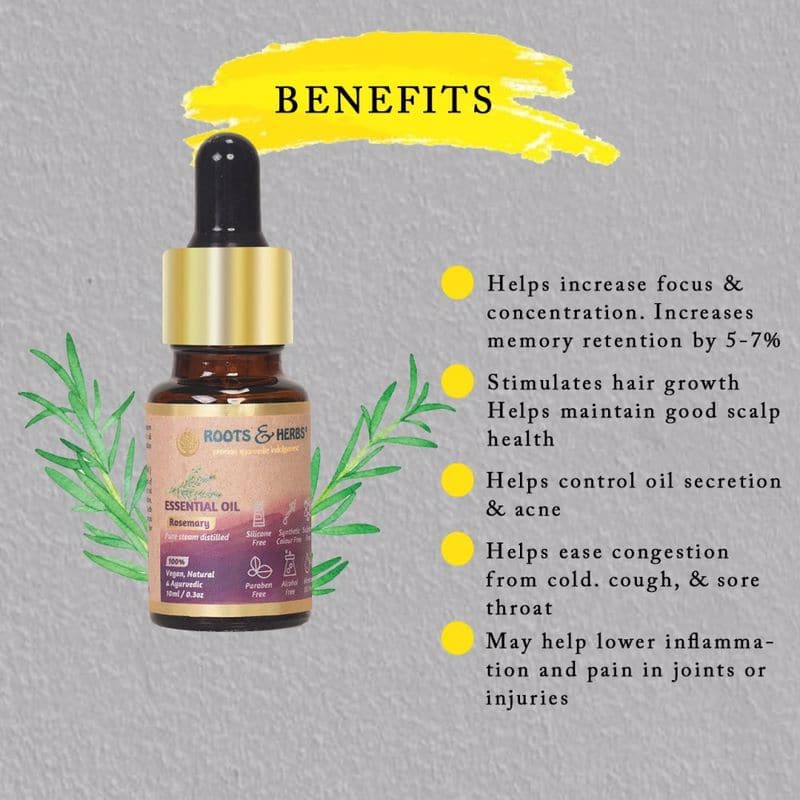 Rosemary Essential Oil Pure Steam Distilled