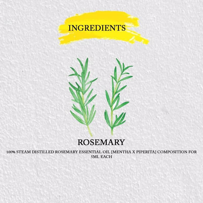 Rosemary Essential Oil Pure Steam Distilled