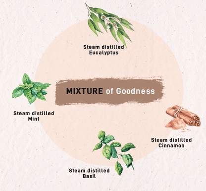 Breathe Clear Blend to Get Back Sense of Smell & Decongestion Pure Steam Distilled