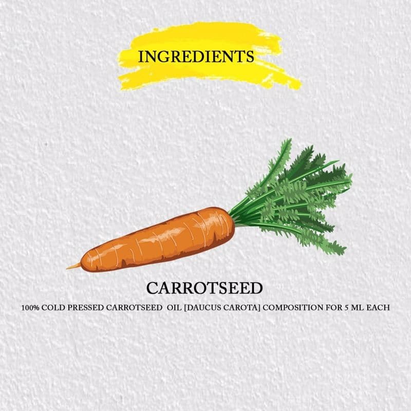 Carrot Seed Carrier Oil Pure & Cold Pressed