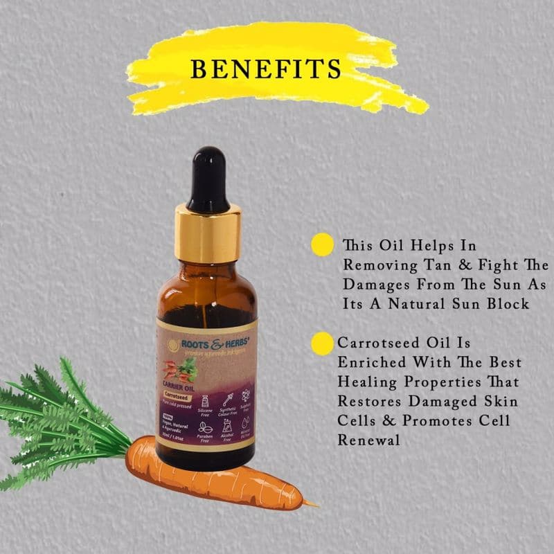Carrot Seed Carrier Oil Pure & Cold Pressed