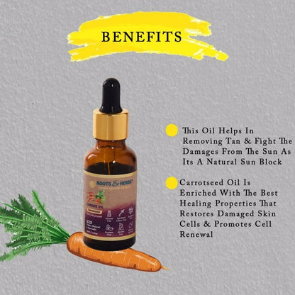 Carrot Seed Carrier Oil Pure & Cold Pressed
